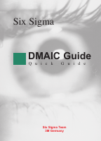 DAMIC GUIDE by Germany.pdf